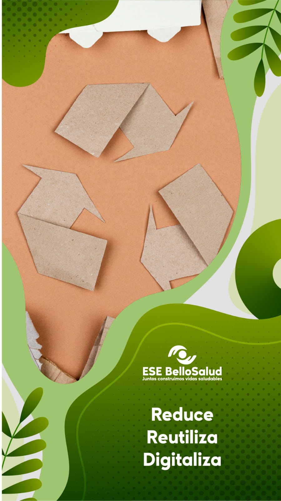 Campañas Medio Ambiente